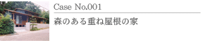Case No.001